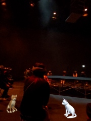 com.oculus.vrshell-20250302-140355-0.00_20_50_12.Still005